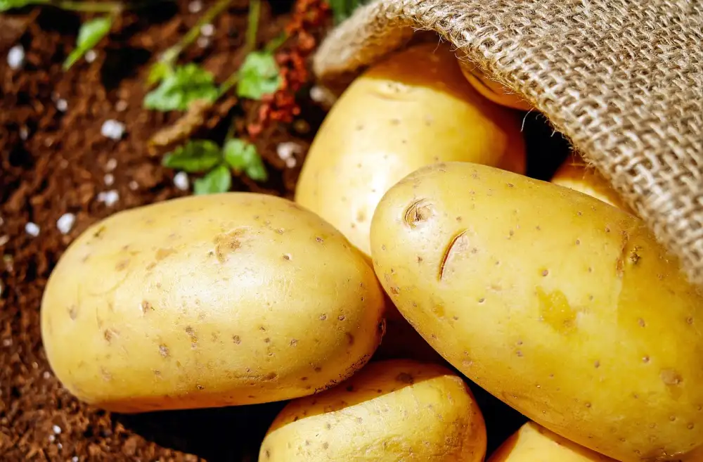 Best Potatoes For Mashing